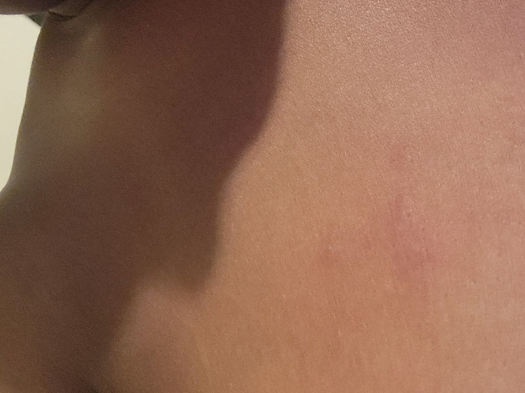 Homewood Suites By Hilton Sarasota主图