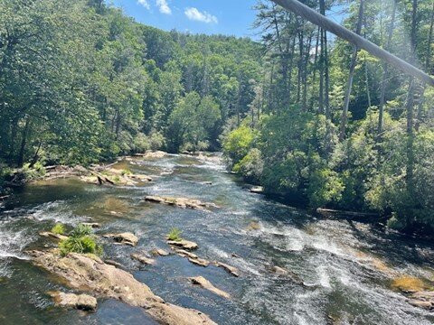 Toccoa River Swinging Bridge景点图片