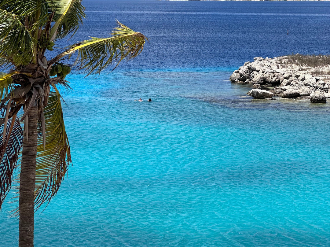 Port Bonaire Residencia主图