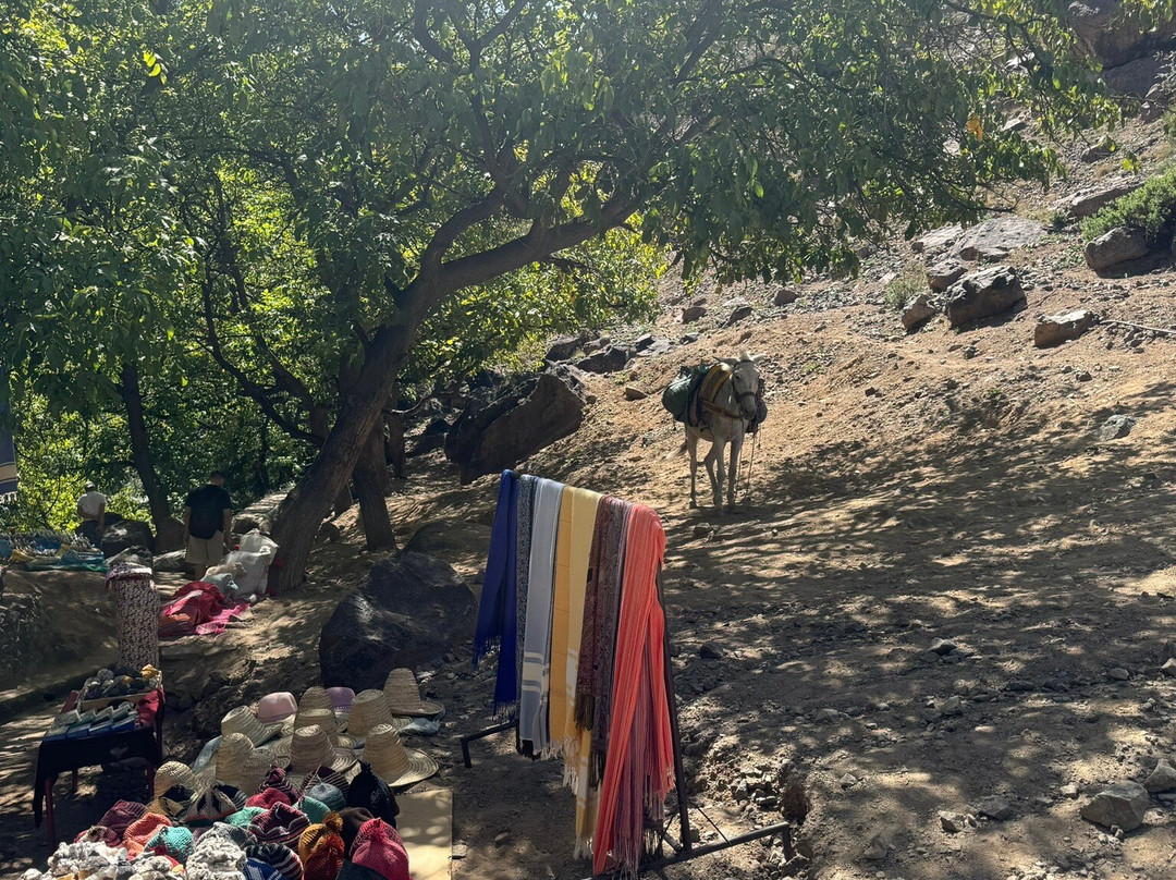 Ibrahim Amzil-马拉喀什必去景点