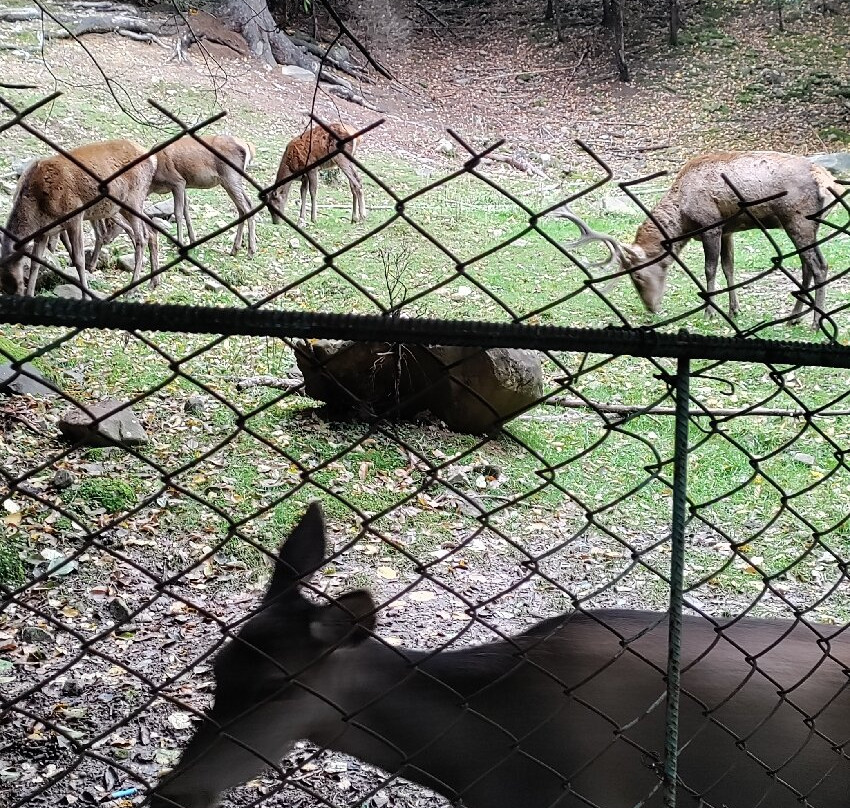 Cage Farm оf the Carpathian National Nature Park-Yaremche必去景点