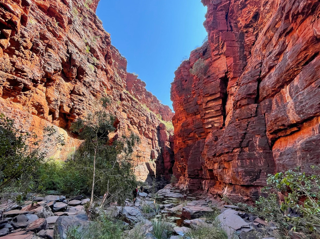 The Flying Sandgroper-Karijini National Park必去景点