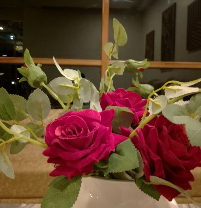 Avianna Gangtok Resort & Spa主图