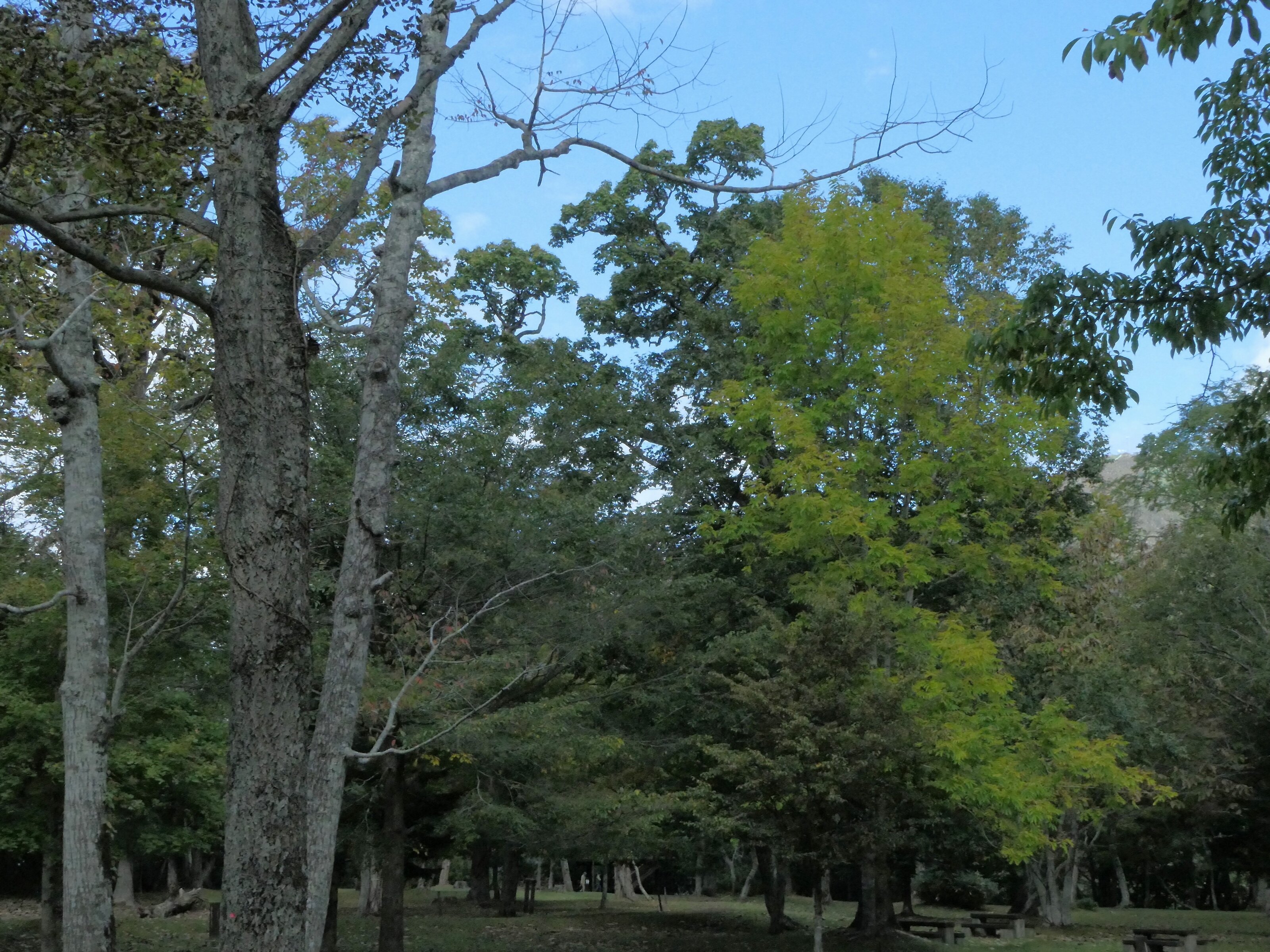 休暇村支笏湖-浴室