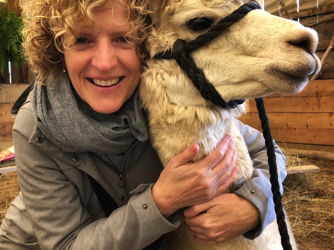 Timbuktu Alpaca & Agri-tourism Farm景点图片