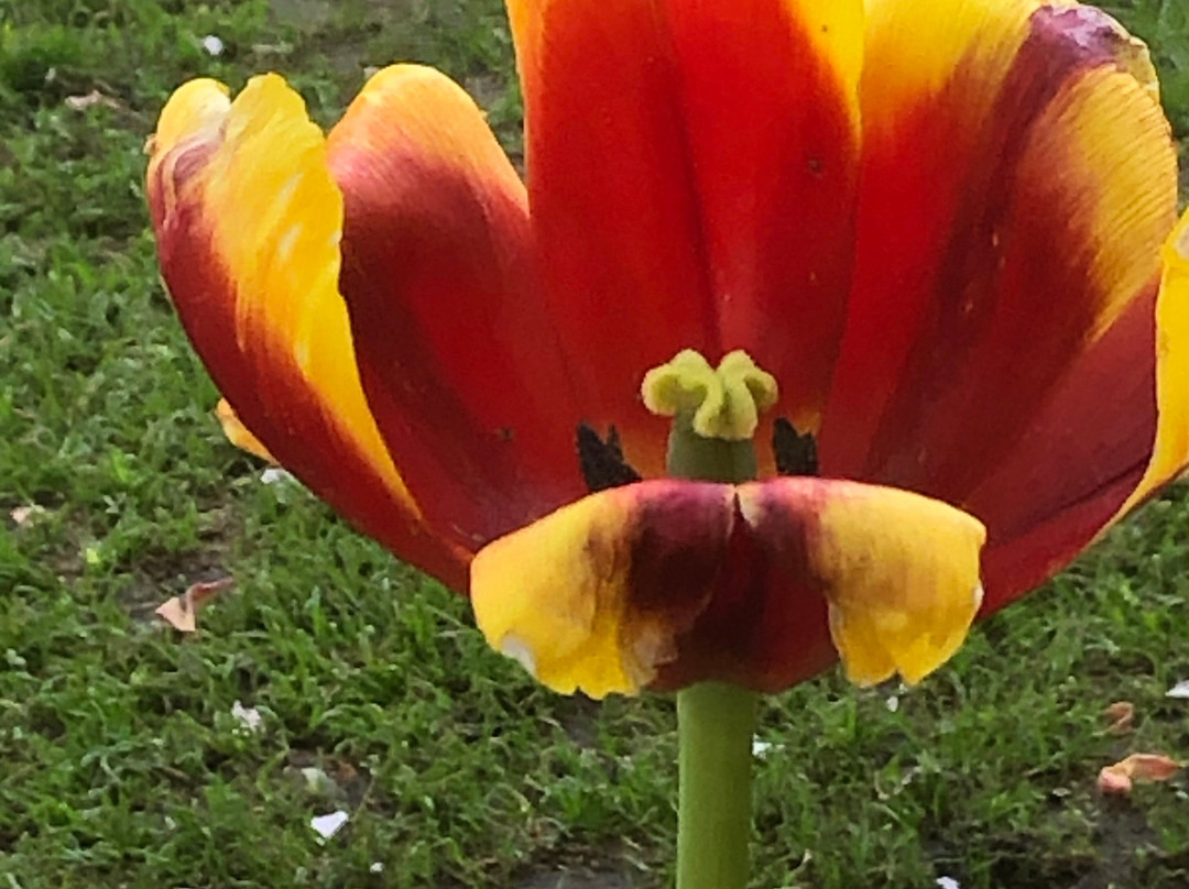 Mittagong Motel主图