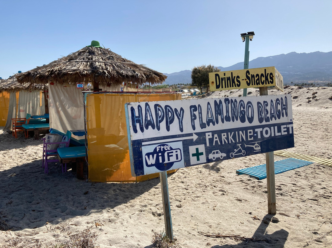 Happy Flamingo Beach景点图片