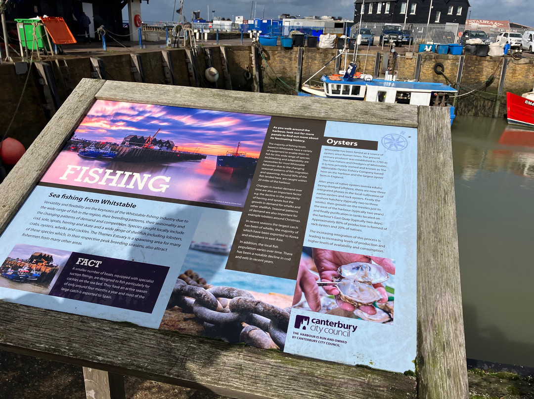 Whitstable Harbour景点图片