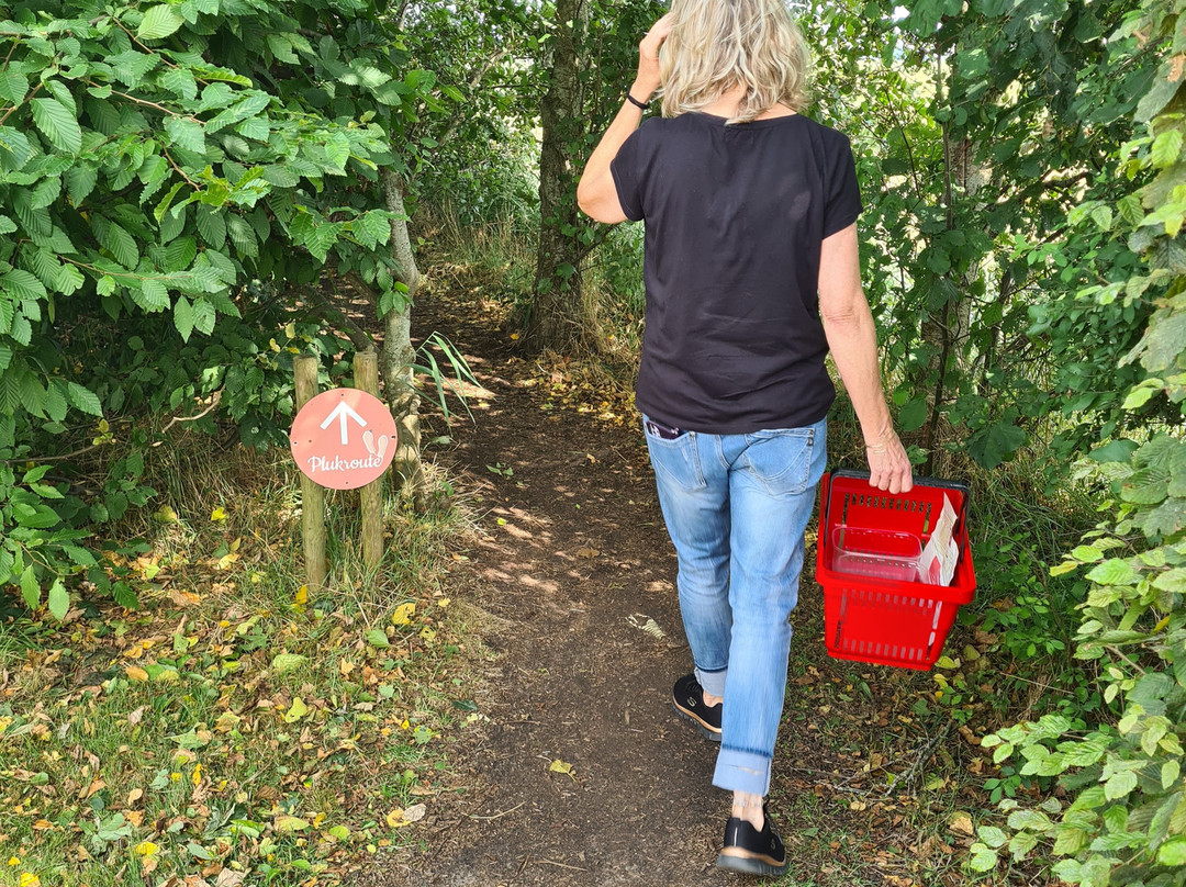 De Zelfpluktuin-特塞尔必去景点