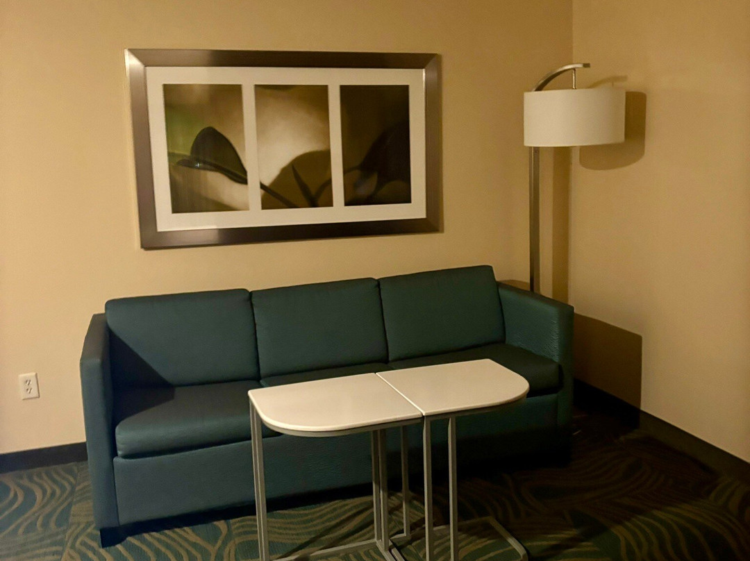 SpringHill Suites by Marriott Devens Common Center主图