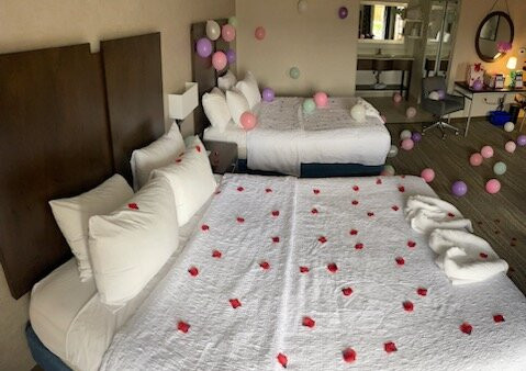 Hampton Inn & Suites By Hilton Halifax - Dartmouth主图