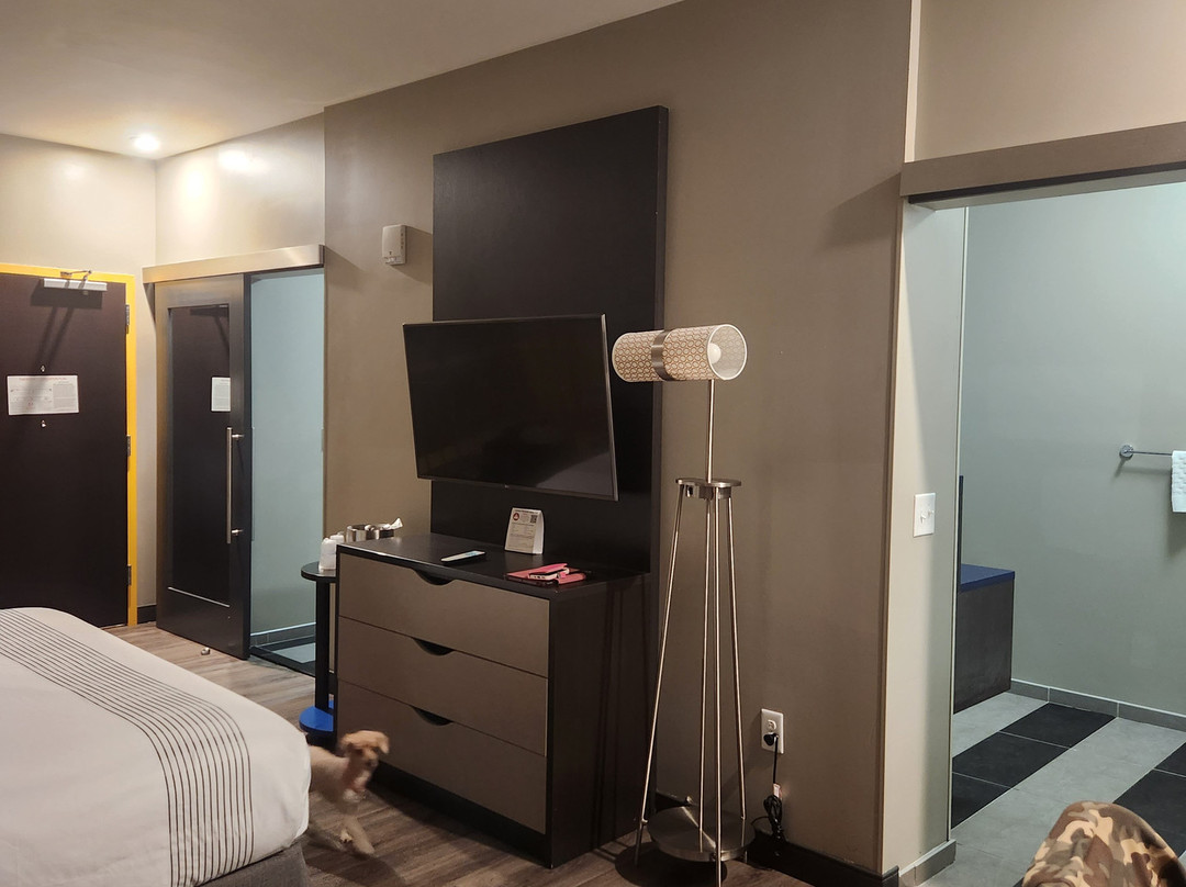 GLō Best Western Lexington主图