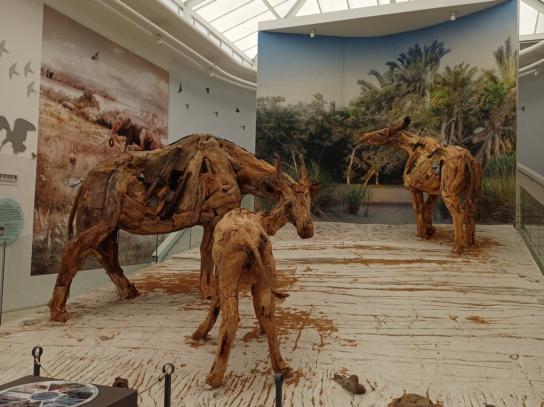 West Coast Fossil Park景点图片