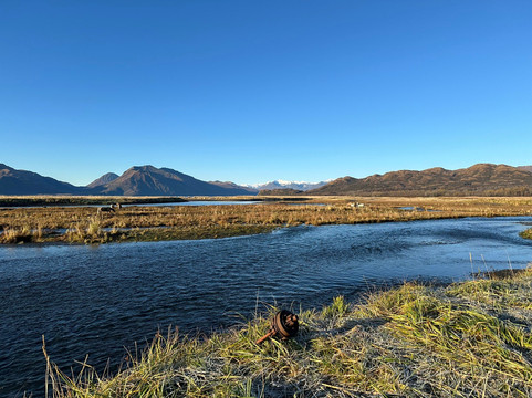 Head Shakers Kodiak-Kodiak必去景点