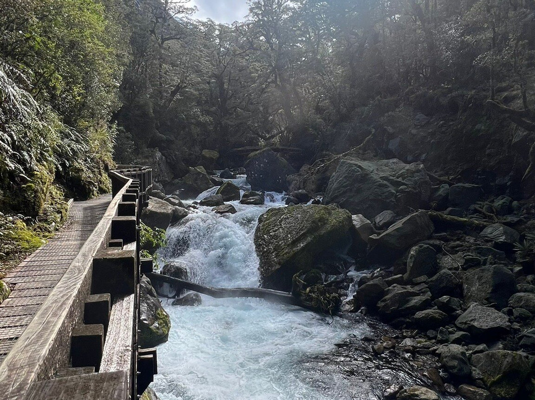 Lake Marian Track景点图片