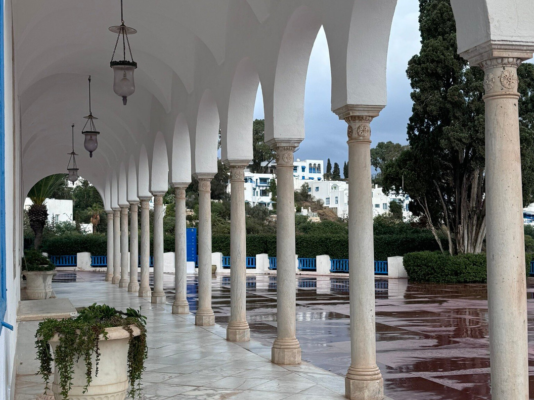 Dar Nejma Ezzahra 宫殿-蓝白小镇必去景点