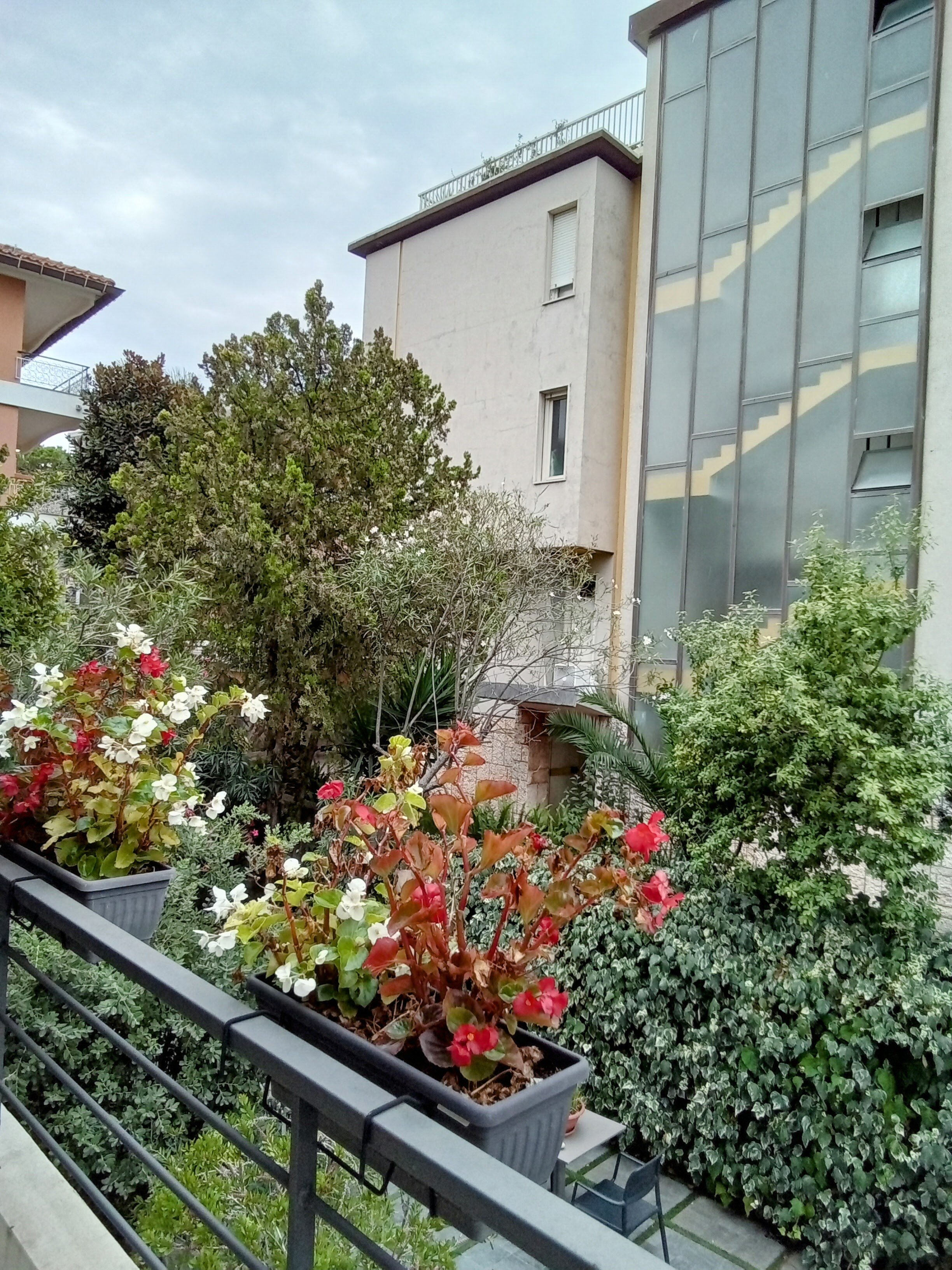 Hotel Villa MIKI-酒店景观