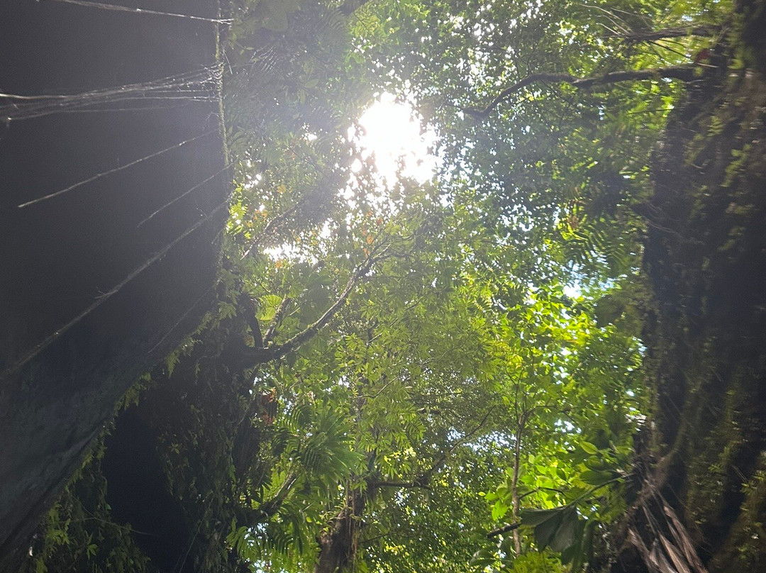 Wacky Rollers-罗索必去景点