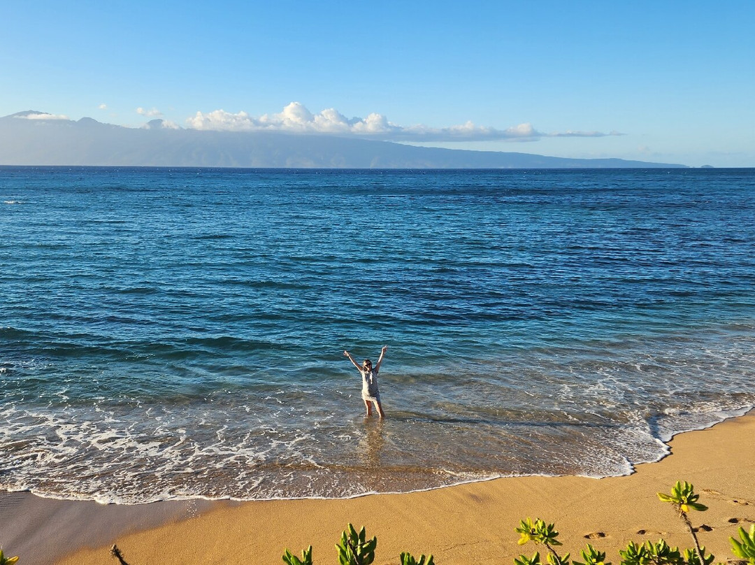 Noelani Hawaii-哈雷瓦必去景点