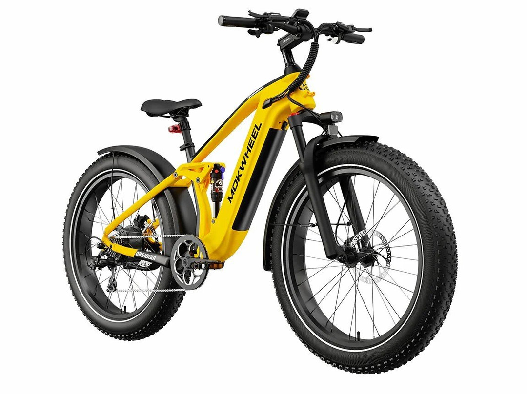 National Ebike-棕榈海岸必去景点