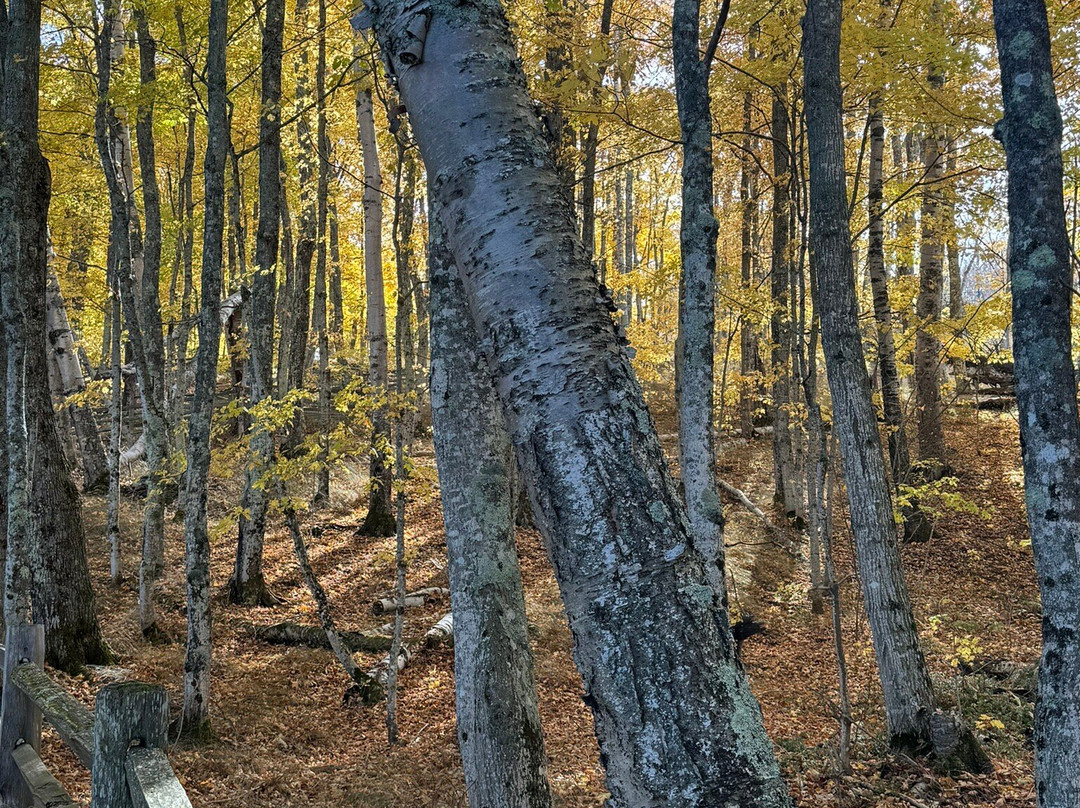 Miner's Beach-Shingleton必去景点