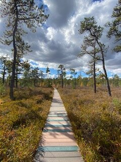 Saco Heath Preserve-萨考必去景点