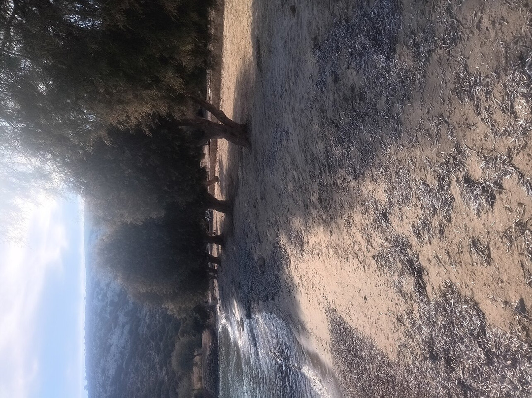 Platis Gialos Beach景点图片