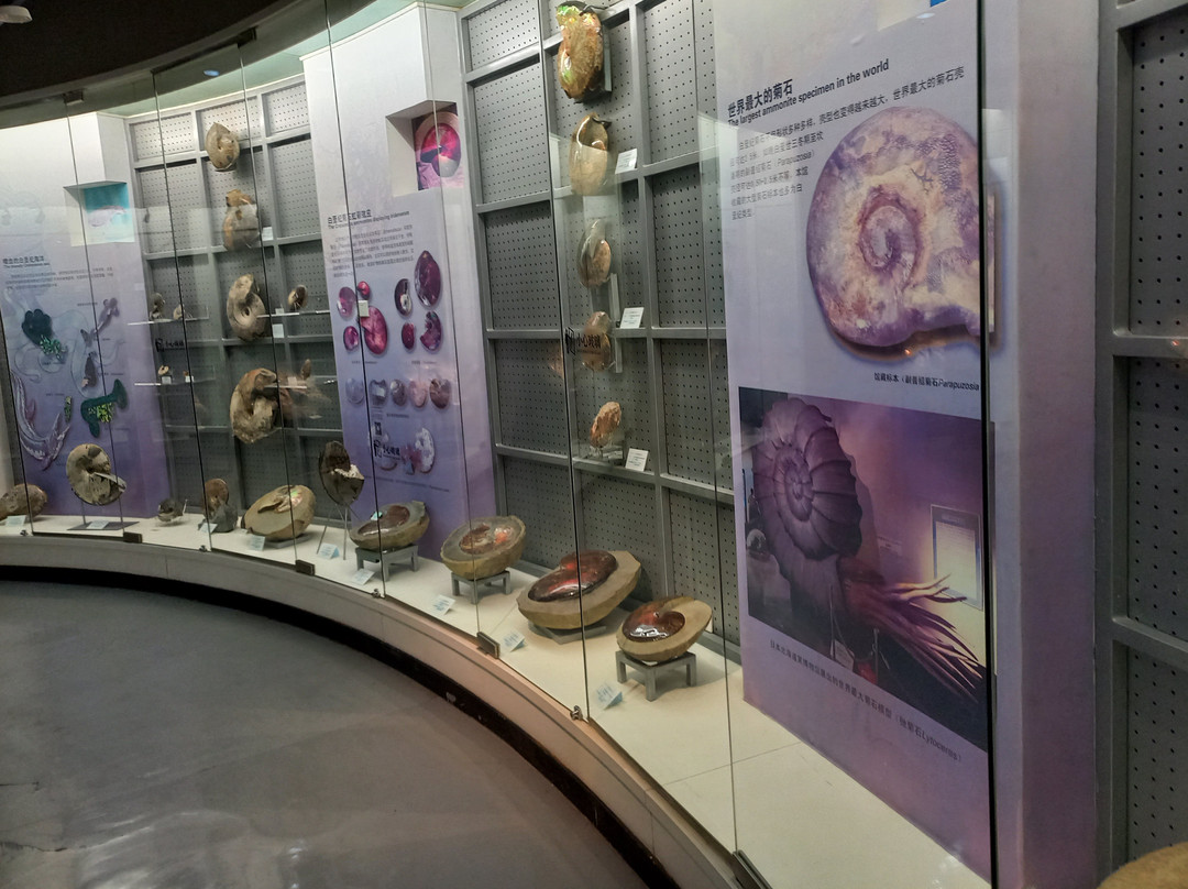 大连贝壳博物馆-大连市必去景点