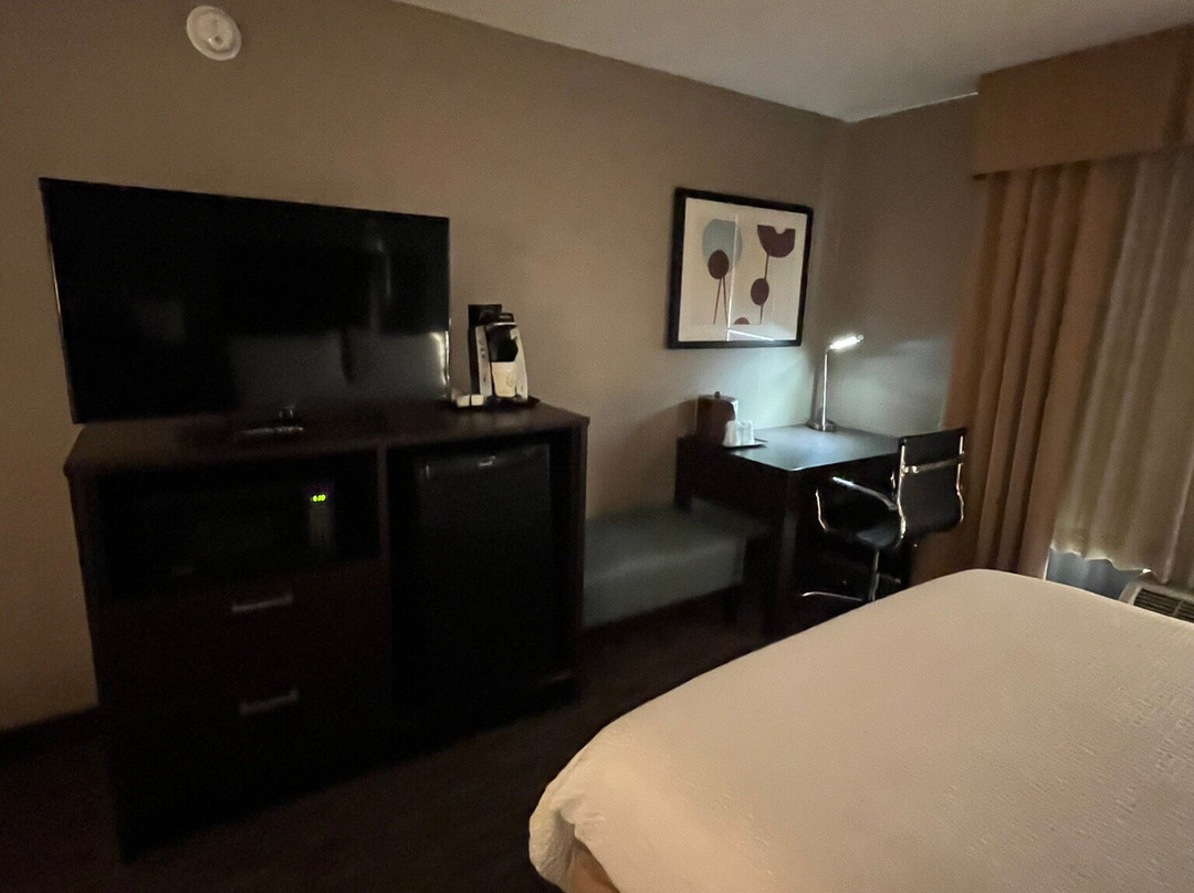 圣保罗市中心假日酒店主图