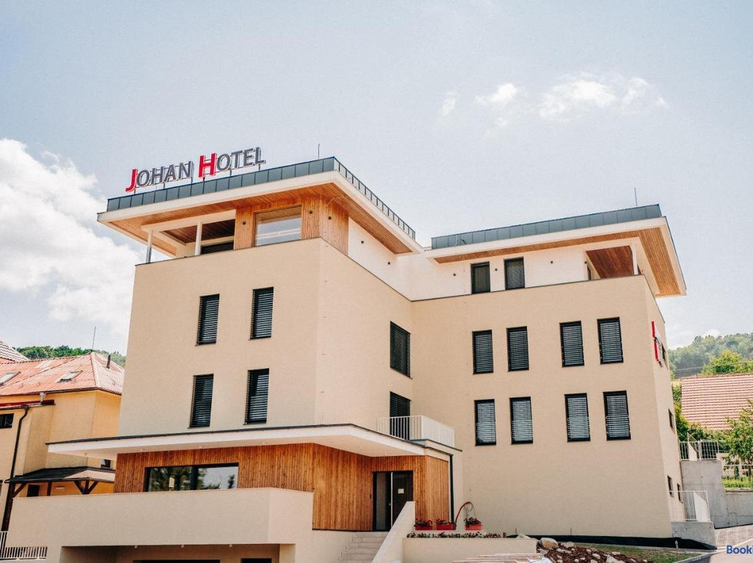 Vizovice酒店住宿-Johan Hotel