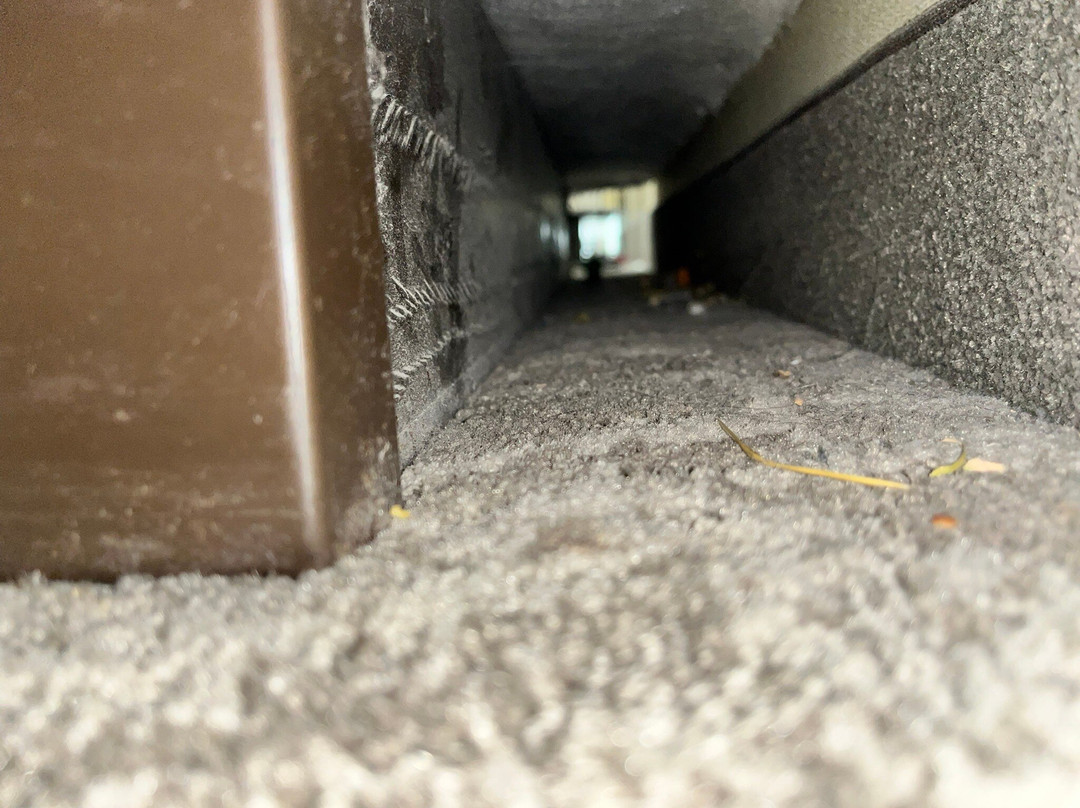 SpringHill Suites by Marriott Saginaw主图