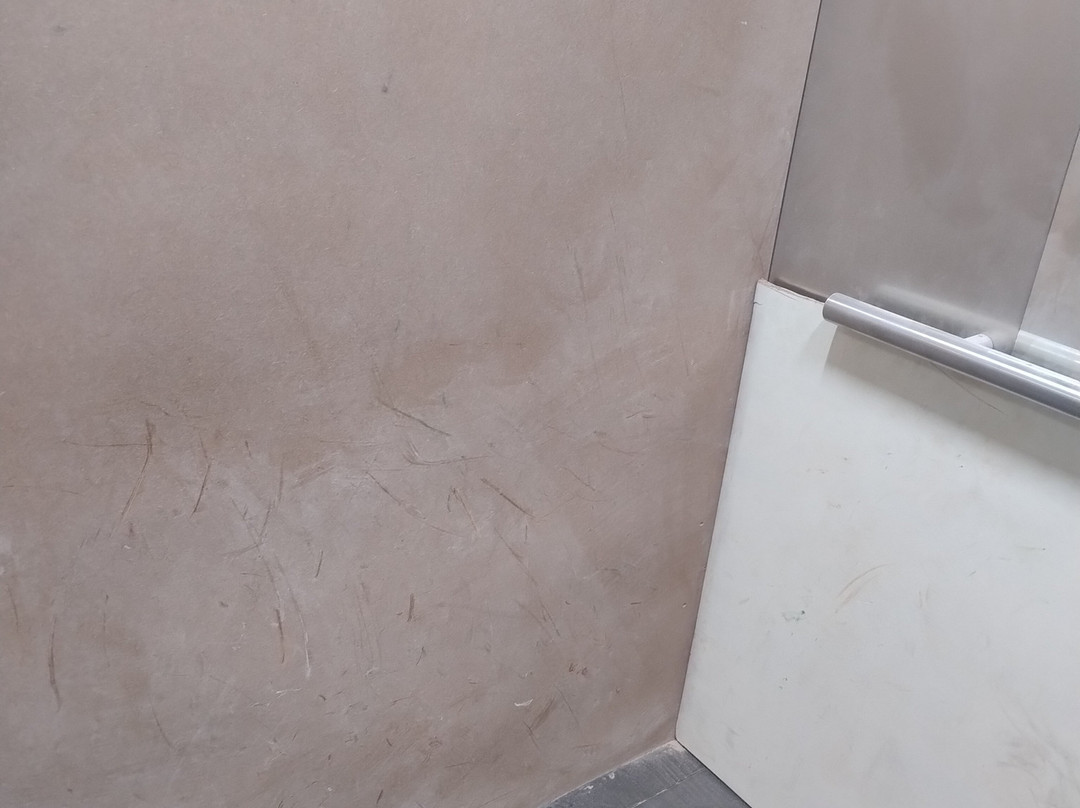 Hotel Valle de México Toreo主图