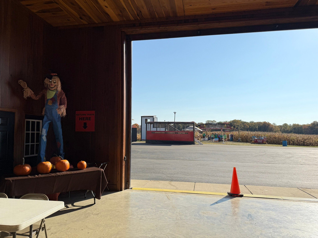 Bowles Farm Corn Maze-Clements必去景点