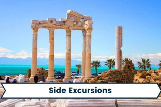 Book From Locals - Side