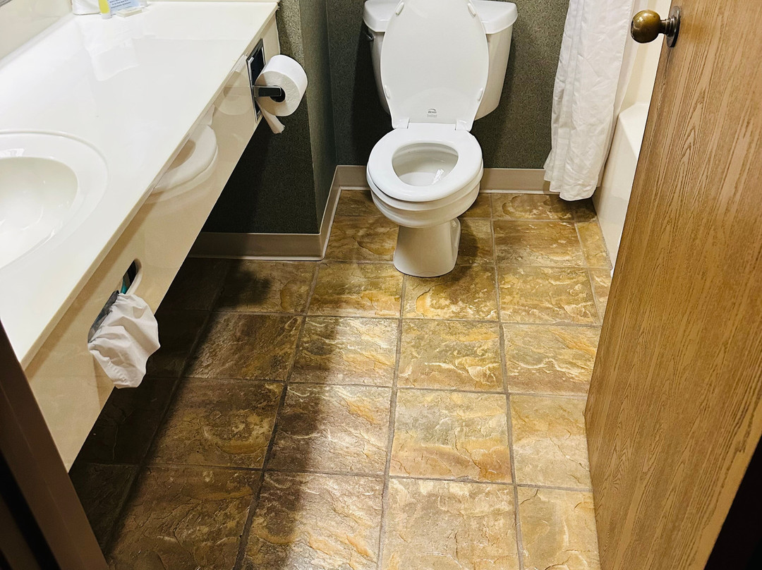 Super 8 by Wyndham Troy主图