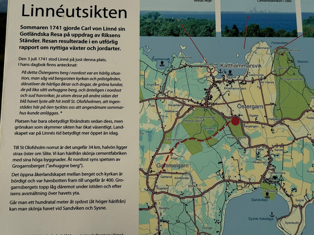 Cafe Skolhuset