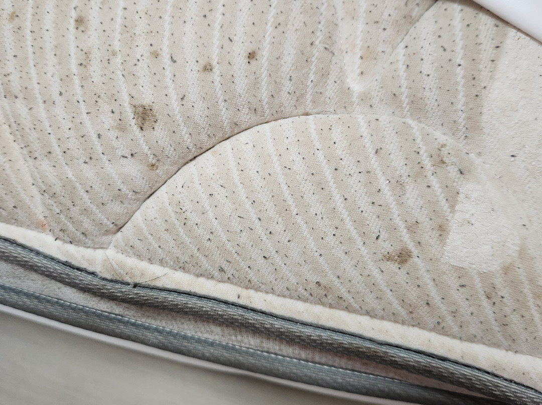 Suburban Studio主图