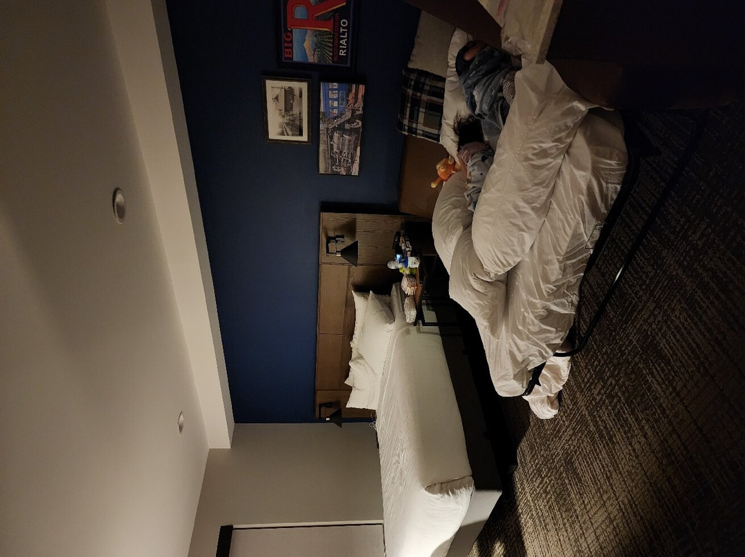 Ayres Hotel Rialto Fontana主图