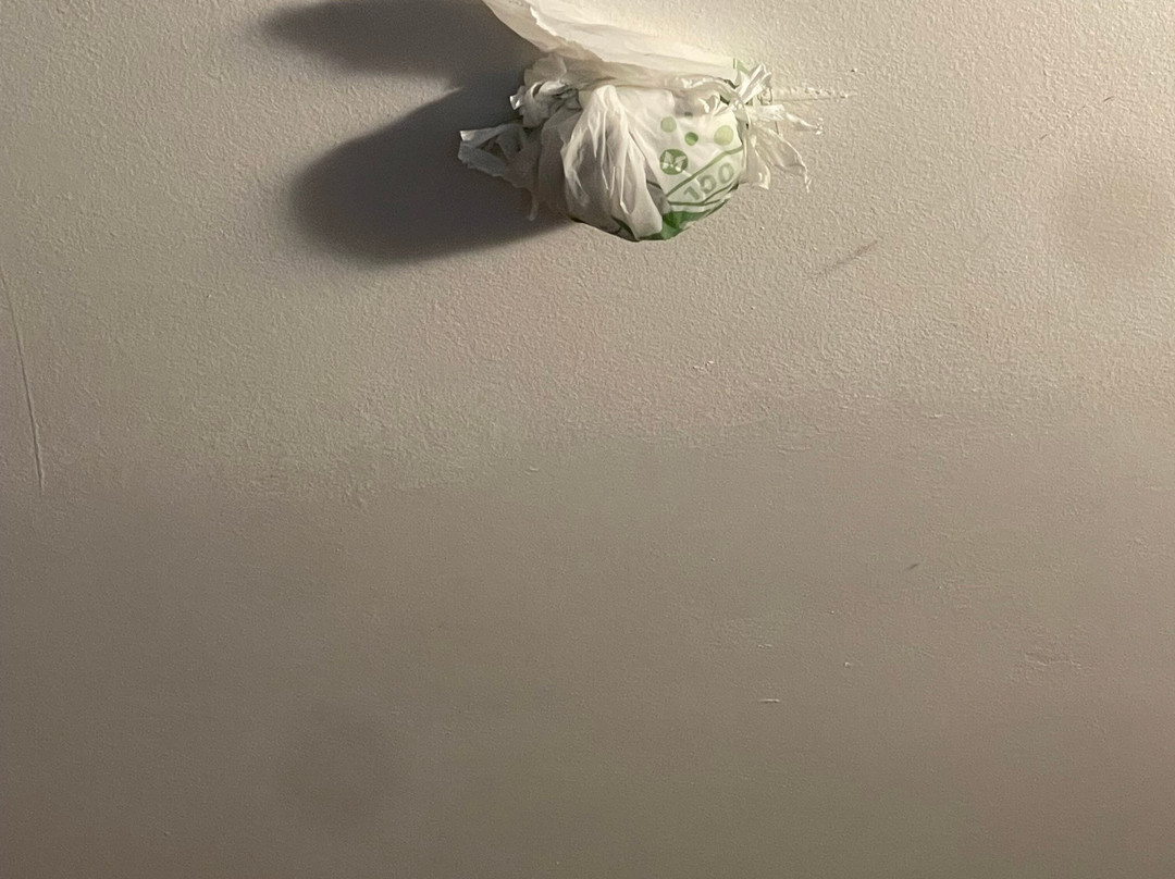阿斯科特寄宿酒店主图