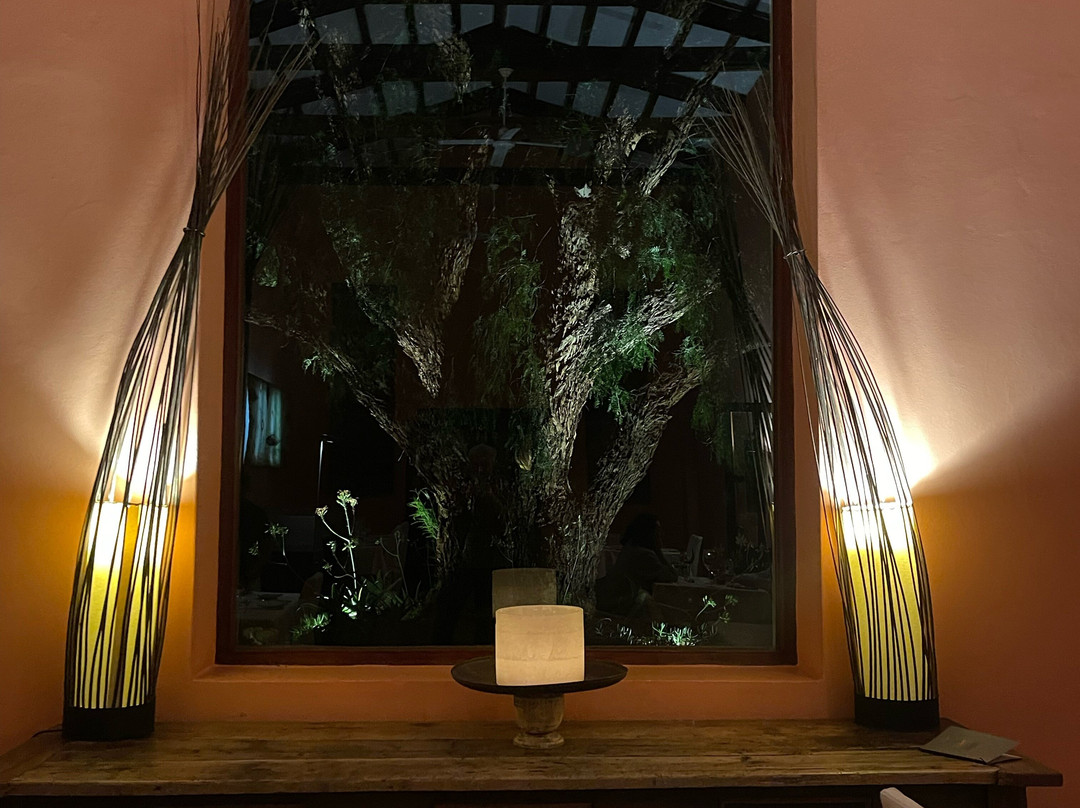 Experiencia Colomé-Molinos必去景点