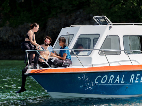 Coral Reef Safari - Verde Island Passage-葡多咖蕾拉必去景点
