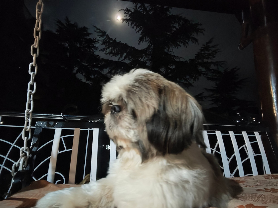 Poetry By The Hills主图