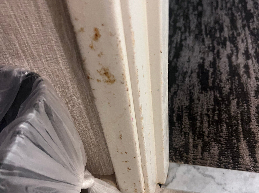 Holiday Inn & Suites Green Bay Stadium By IHG主图