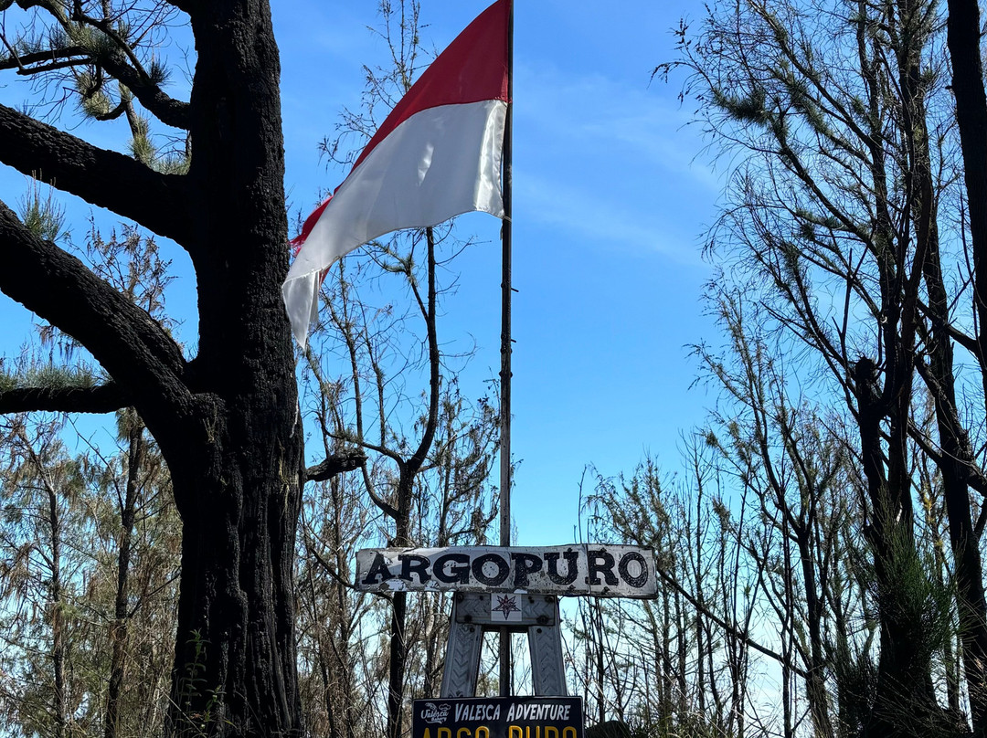 Mount Argopuro景点图片