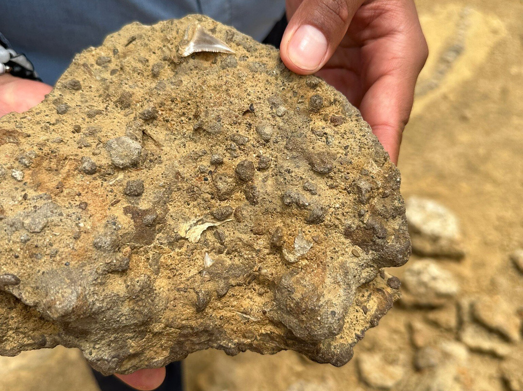 Parque Paleontologico De Caldera-Caldera必去景点