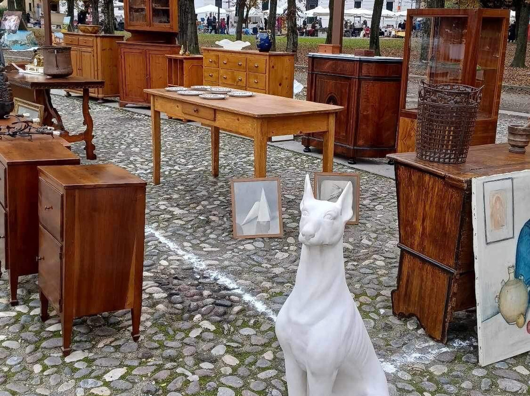Mercatini dell' Antiquariato e Modernariato景点图片