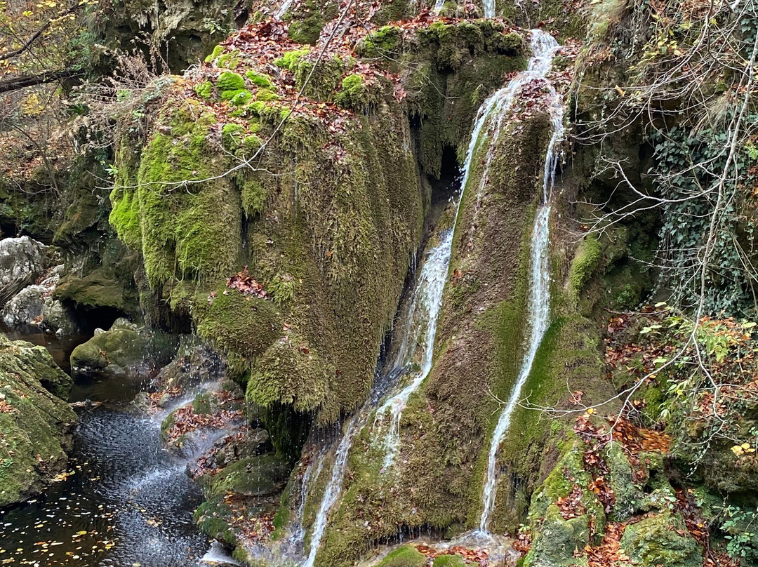 Bigar Cascade Falls景点图片