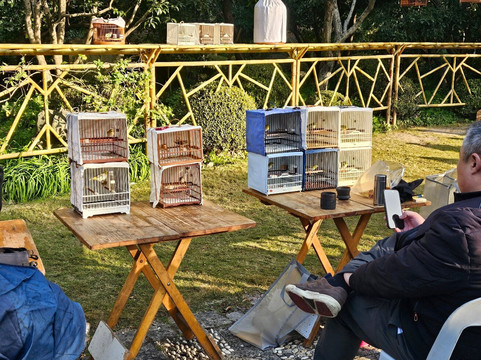 桂林公园-上海市必去景点