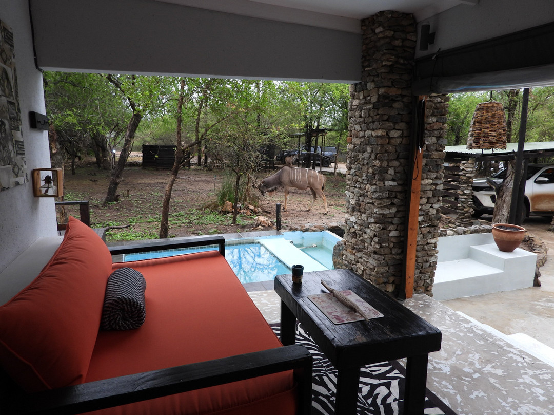 Foxy Crocodile Bush Lodge & Kruger Safaris主图