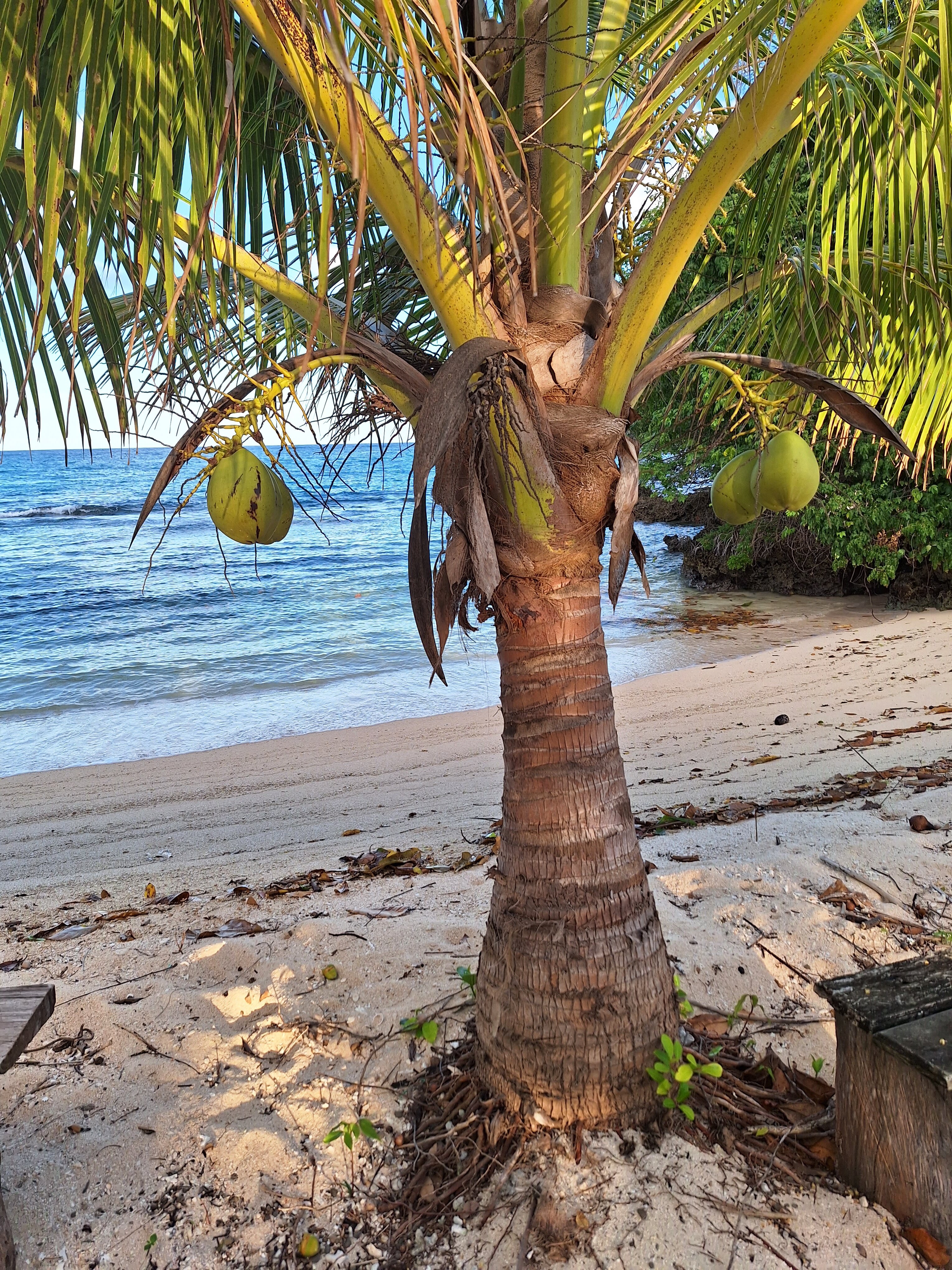 Hideaway Paradise Beach Bungalows-泳池